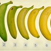 freshbananas
